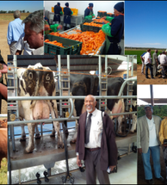 Agribusiness Development Corporation (ADC)