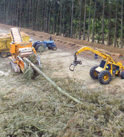 Africa Biomass Company