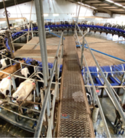 Agribusiness Development Corporation (ADC)
