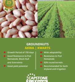 Capstone Seeds