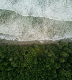 Ammonite Environmental