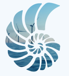 Ammonite Environmental